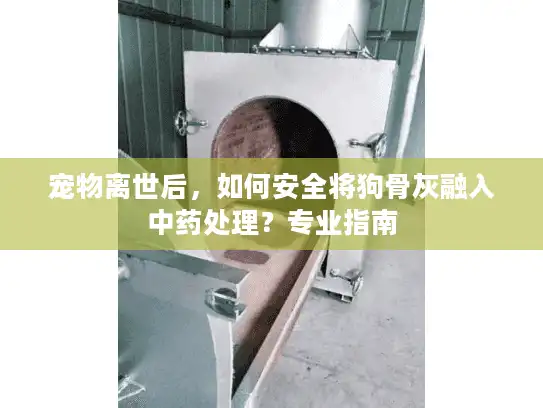 宠物离世后，如何安全将狗骨灰融入中药处理？专业指南