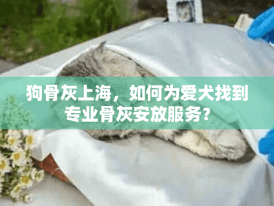 狗骨灰上海，如何为爱犬找到专业骨灰安放服务？