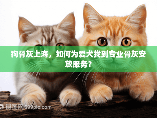 狗骨灰上海，如何为爱犬找到专业骨灰安放服务？