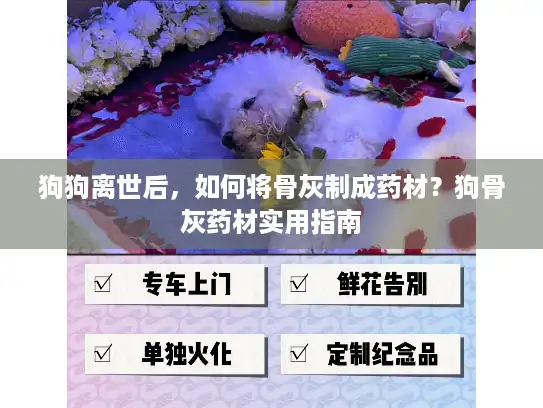 狗狗离世后，如何将骨灰制成药材？狗骨灰药材实用指南