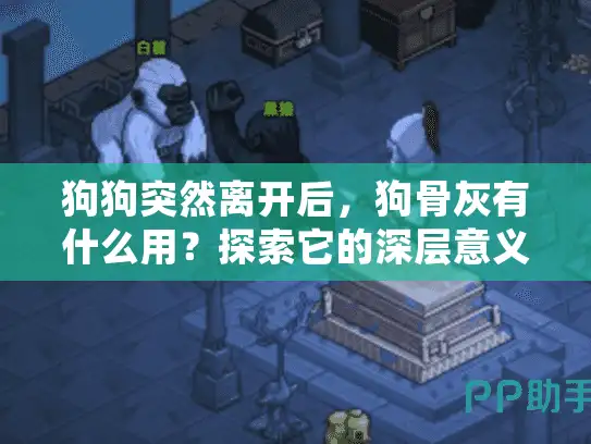 狗狗突然离开后,狗骨灰有什么用?探索它的深层意义与处理方式 狗狗突然离开后,狗骨灰有什么用?探索它的深层意义与处理方式