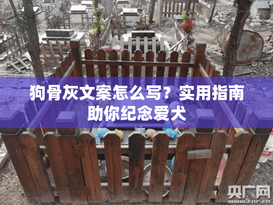 狗骨灰文案怎么写？实用指南助你纪念爱犬