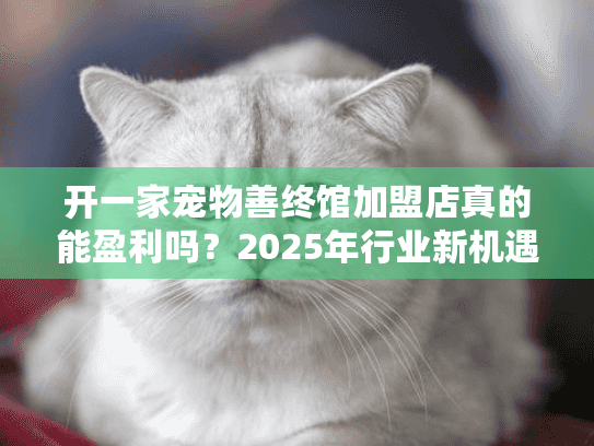 开一家宠物善终馆加盟店真的能盈利吗？2025年行业新机遇深度解析