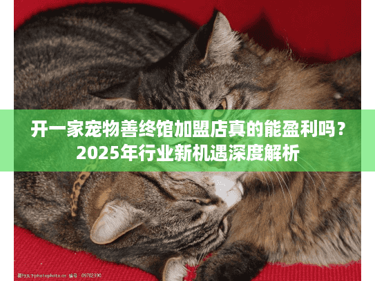 开一家宠物善终馆加盟店真的能盈利吗？2025年行业新机遇深度解析