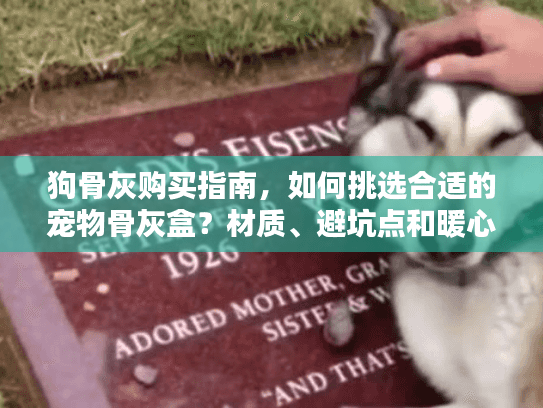 狗骨灰购买指南，如何挑选合适的宠物骨灰盒？材质、避坑点和暖心建议