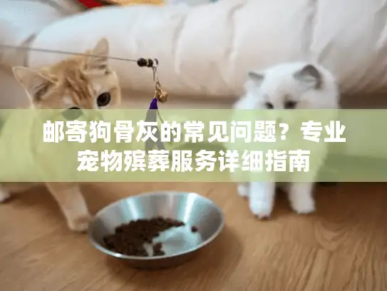 邮寄狗骨灰的常见问题？专业宠物殡葬服务详细指南