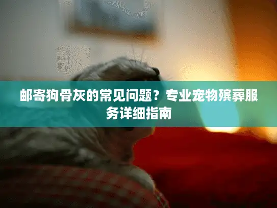 邮寄狗骨灰的常见问题？专业宠物殡葬服务详细指南
