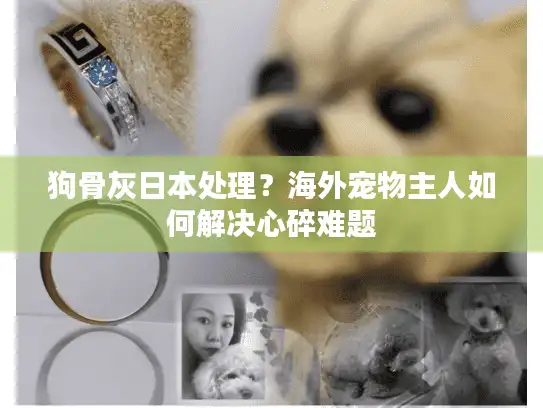 狗骨灰日本处理？海外宠物主人如何解决心碎难题
