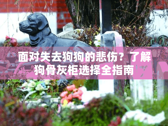 面对失去狗狗的悲伤？了解狗骨灰柜选择全指南