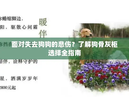 面对失去狗狗的悲伤？了解狗骨灰柜选择全指南