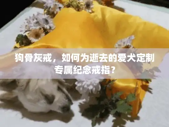 狗骨灰戒，如何为逝去的爱犬定制专属纪念戒指？