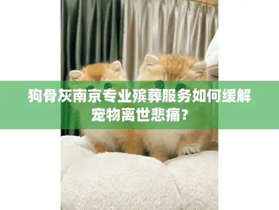 狗骨灰南京专业殡葬服务如何缓解宠物离世悲痛? 狗骨灰南京专业殡葬服务如何缓解宠物离世悲痛?