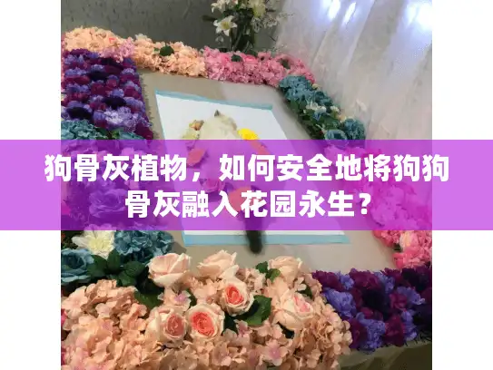 狗骨灰植物，如何安全地将狗狗骨灰融入花园永生？