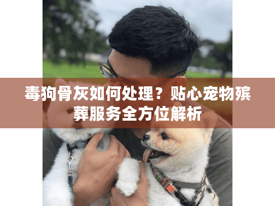 毒狗骨灰如何处理？贴心宠物殡葬服务全方位解析