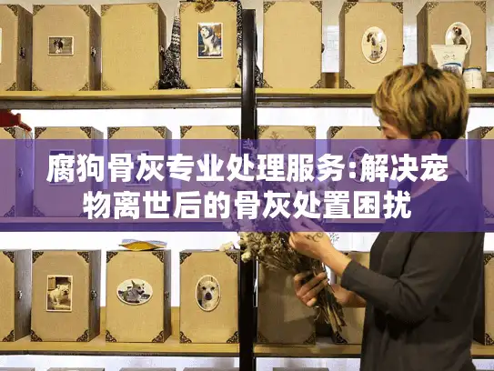 腐狗骨灰专业处理服务:解决宠物离世后的骨灰处置困扰 腐狗骨灰专业处理服务:解决宠物离世后的骨灰处置困扰