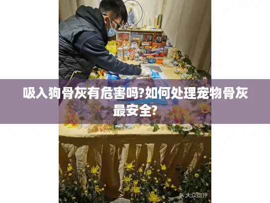 吸入狗骨灰有危害吗?如何处理宠物骨灰最安全?