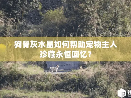 狗骨灰水晶如何帮助宠物主人珍藏永恒回忆？