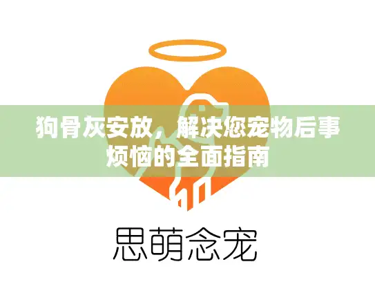 狗骨灰安放，解决您宠物后事烦恼的全面指南