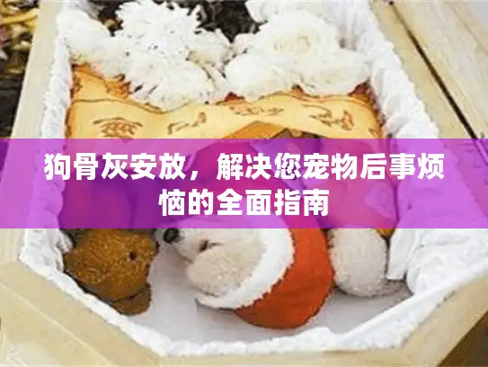 狗骨灰安放，解决您宠物后事烦恼的全面指南