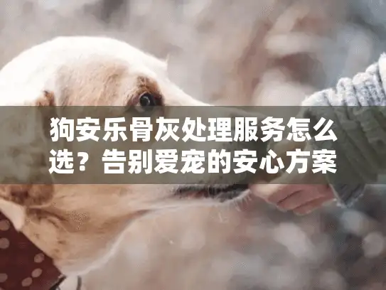 狗安乐骨灰处理服务怎么选？告别爱宠的安心方案