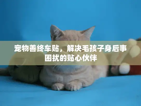 宠物善终车贴，解决毛孩子身后事困扰的贴心伙伴
