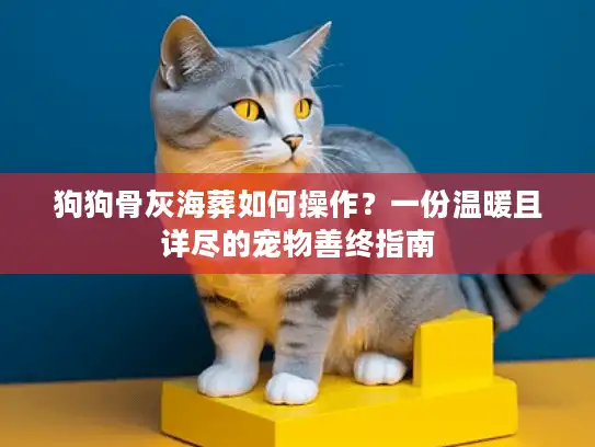 狗狗骨灰海葬如何操作？一份温暖且详尽的宠物善终指南