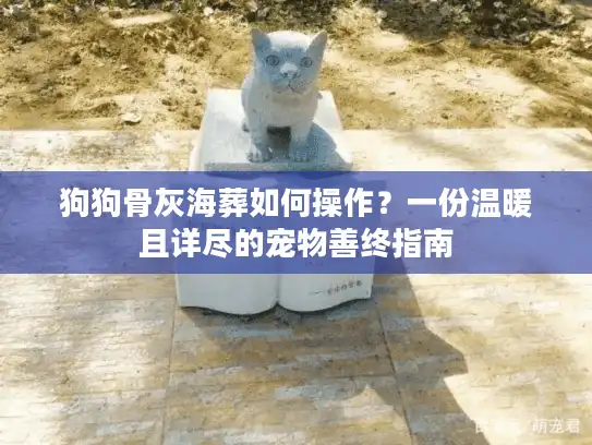 狗狗骨灰海葬如何操作？一份温暖且详尽的宠物善终指南