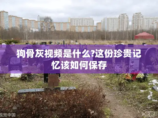 狗骨灰视频是什么?这份珍贵记忆该如何保存 狗骨灰视频是什么?这份珍贵记忆该如何保存