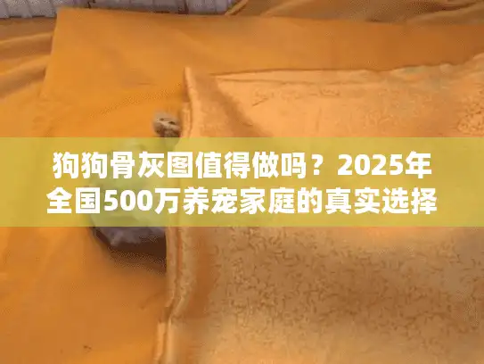 狗狗骨灰图值得做吗？2025年全国500万养宠家庭的真实选择