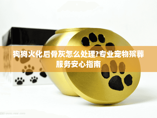 狗狗火化后骨灰怎么处理?专业宠物殡葬服务安心指南 狗狗火化后骨灰怎么处理?专业宠物殡葬服务安心指南