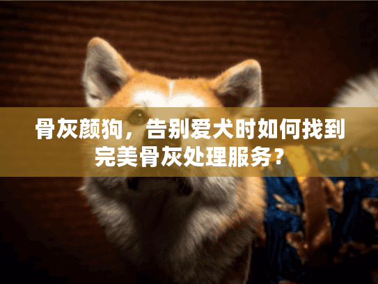 骨灰颜狗，告别爱犬时如何找到完美骨灰处理服务？