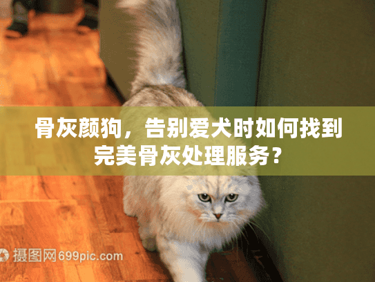 骨灰颜狗，告别爱犬时如何找到完美骨灰处理服务？