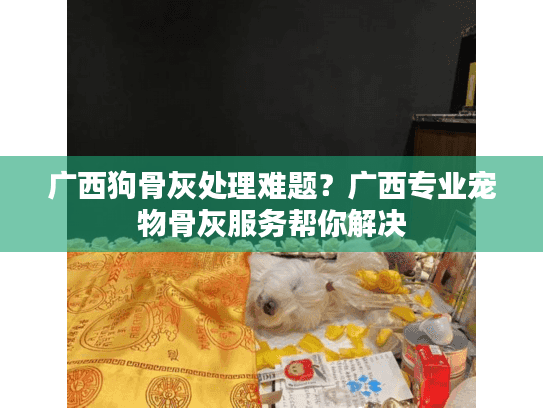广西狗骨灰处理难题？广西专业宠物骨灰服务帮你解决