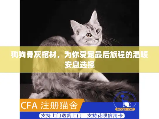 狗狗骨灰棺材，为你爱宠最后旅程的温暖安息选择