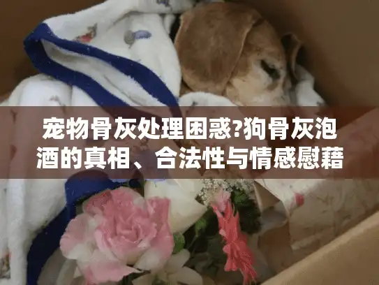 宠物骨灰处理困惑?狗骨灰泡酒的真相、合法性与情感慰藉解析 宠物骨灰处理困惑?狗骨灰泡酒的真相、合法性与情感慰藉解析