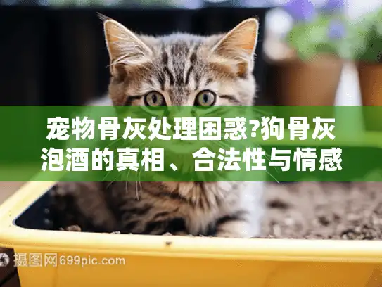 宠物骨灰处理困惑?狗骨灰泡酒的真相、合法性与情感慰藉解析 宠物骨灰处理困惑?狗骨灰泡酒的真相、合法性与情感慰藉解析