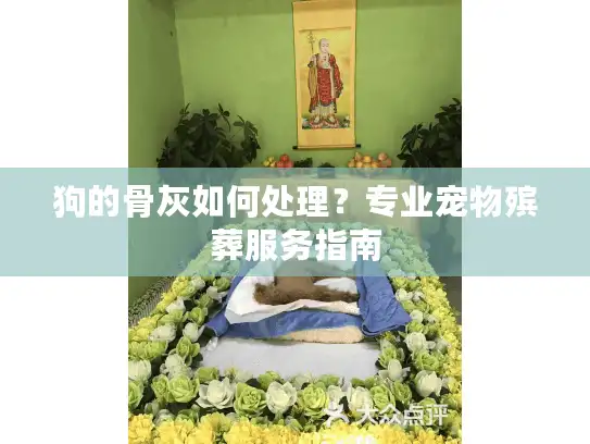 狗的骨灰如何处理？专业宠物殡葬服务指南