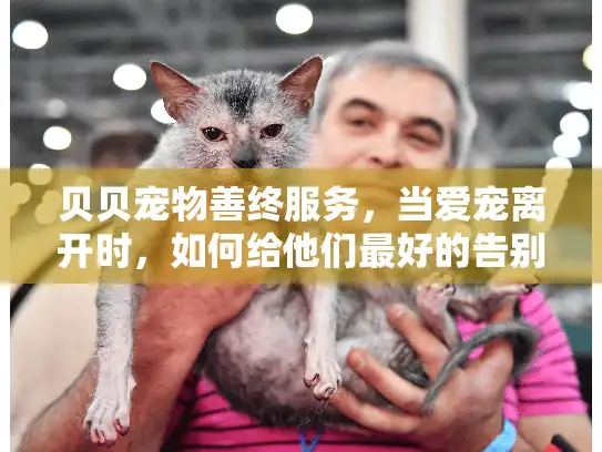 贝贝宠物善终服务，当爱宠离开时，如何给他们最好的告别？