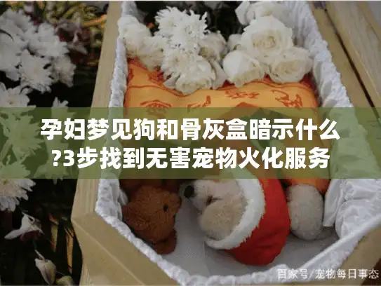 孕妇梦见狗和骨灰盒暗示什么?3步找到无害宠物火化服务