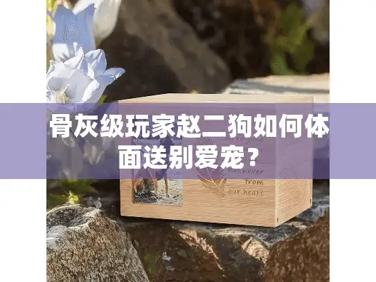 骨灰级玩家赵二狗如何体面送别爱宠？