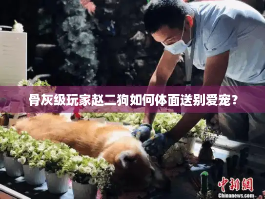骨灰级玩家赵二狗如何体面送别爱宠？