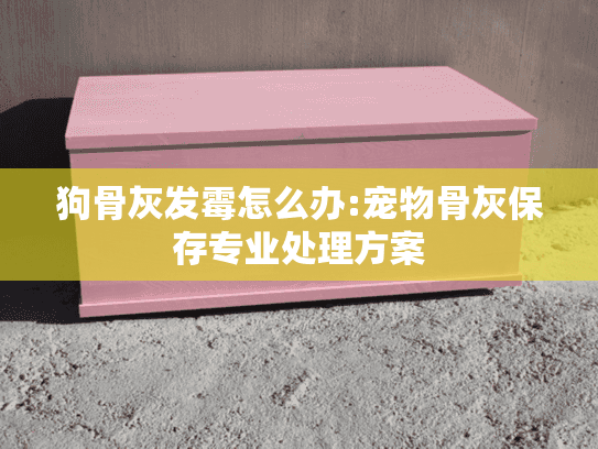 狗骨灰发霉怎么办:宠物骨灰保存专业处理方案