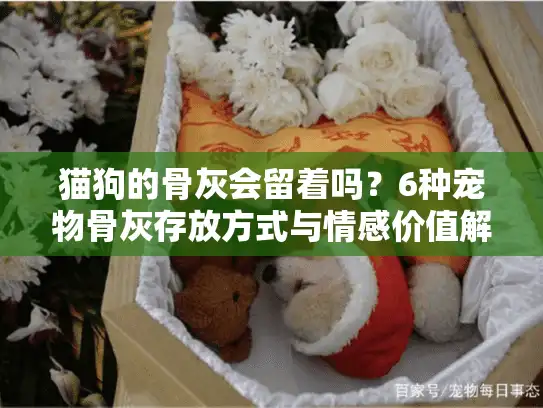 猫狗的骨灰会留着吗？6种宠物骨灰存放方式与情感价值解析