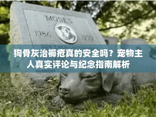 狗骨灰治褥疮真的安全吗?宠物主人真实评论与纪念指南解析 狗骨灰治褥疮真的安全吗?宠物主人真实评论与纪念指南解析