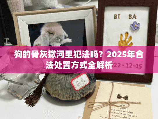 狗的骨灰撒河里犯法吗？2025年合法处置方式全解析