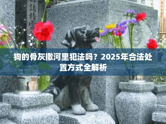 狗的骨灰撒河里犯法吗？2025年合法处置方式全解析