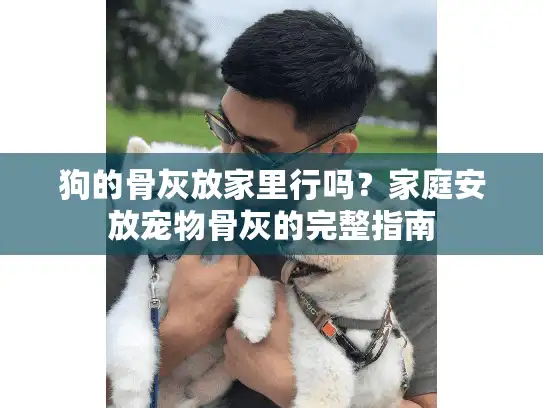 狗的骨灰放家里行吗？家庭安放宠物骨灰的完整指南