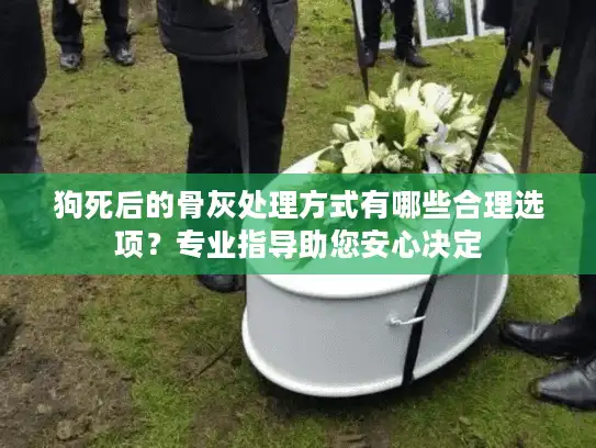 狗死后的骨灰处理方式有哪些合理选项？专业指导助您安心决定