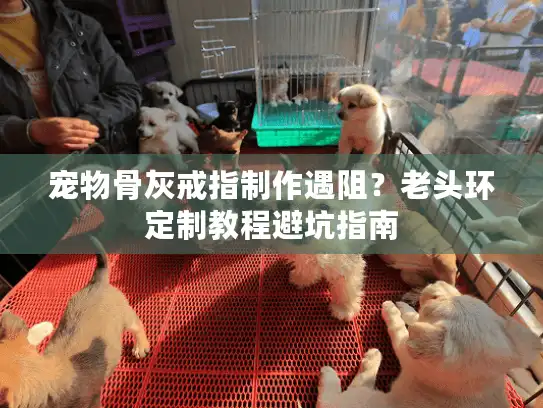 宠物骨灰戒指制作遇阻?老头环定制教程避坑指南 宠物骨灰戒指制作遇阻?老头环定制教程避坑指南