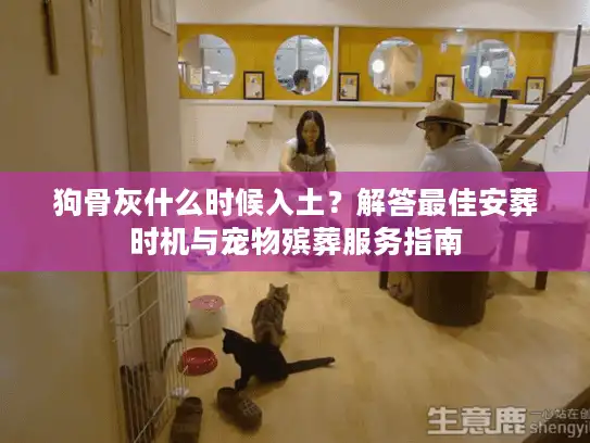狗骨灰什么时候入土？解答最佳安葬时机与宠物殡葬服务指南
